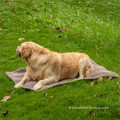 serviette de séchage en microfibre serviette de couverture de bain pour animaux de compagnie